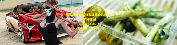 твердый Алексеевка