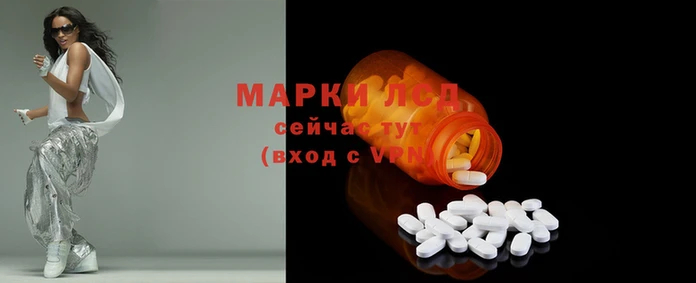 индика Алзамай