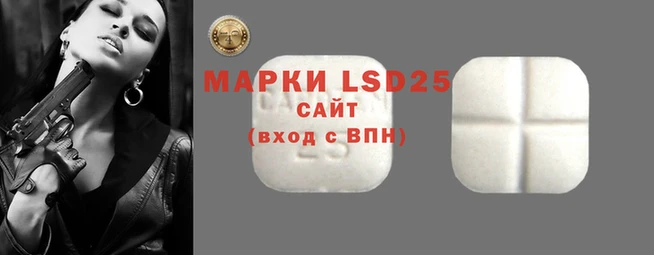 индика Алзамай