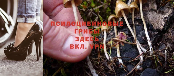 твердый Алексеевка