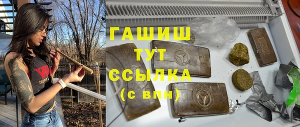 индика Алзамай
