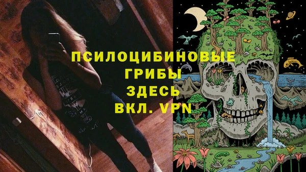 ECSTASY Алексин
