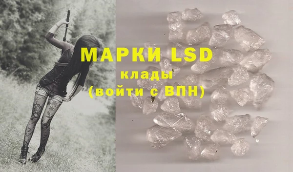 индика Алзамай