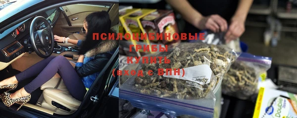 индика Алзамай
