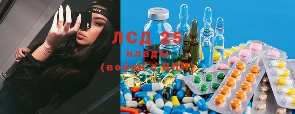 индика Алзамай