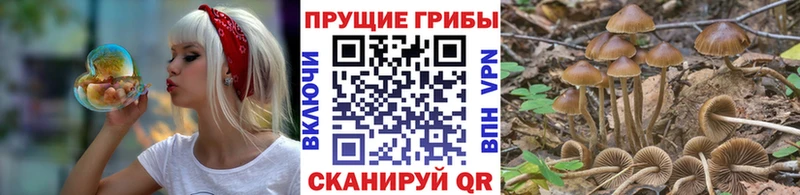 Галлюциногенные грибы мицелий  Хадыженск 
