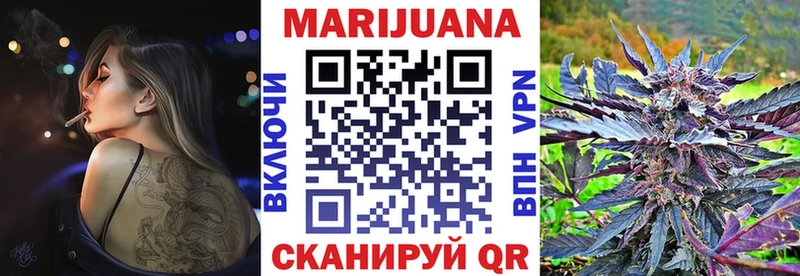 где можно купить наркотик  Хадыженск  Конопля семена 